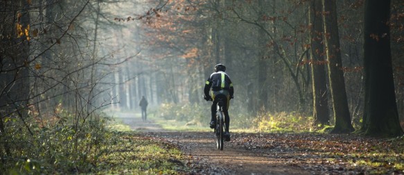 Mountainbiker in het bos
