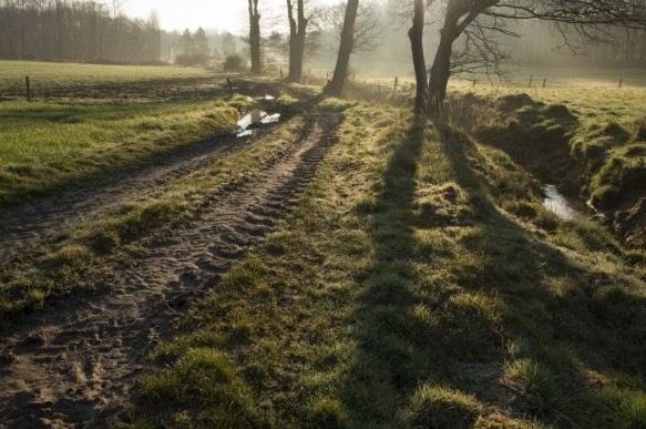Driesbeek