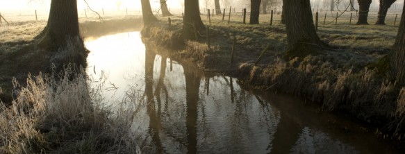 De Oude Kale