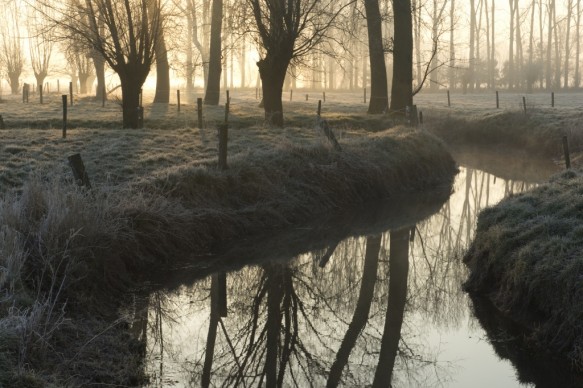 De Oude Kale
