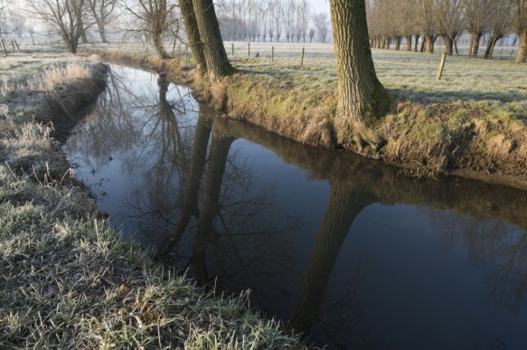 De Oude Kale