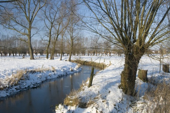 De Oude Kale