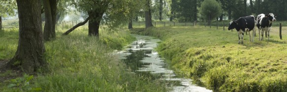 De Oude Kale