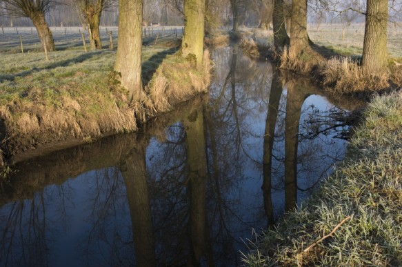De Oude Kale