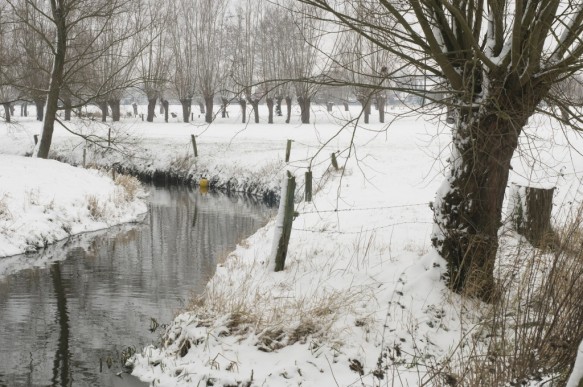 De Oude Kale