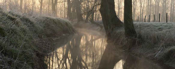 De Oude Kale