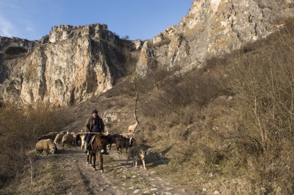 Bulgarije