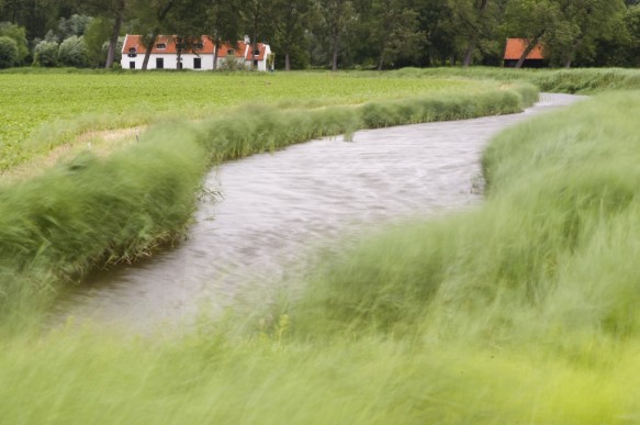 Grote geul