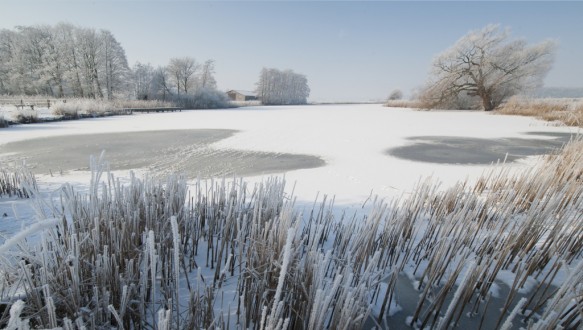 Grote kil