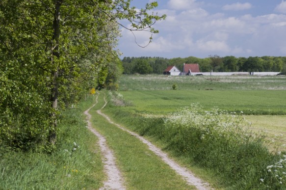 Trage weg in de vallei van de Wagemakersbeek.