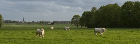 Agrarisch landschap