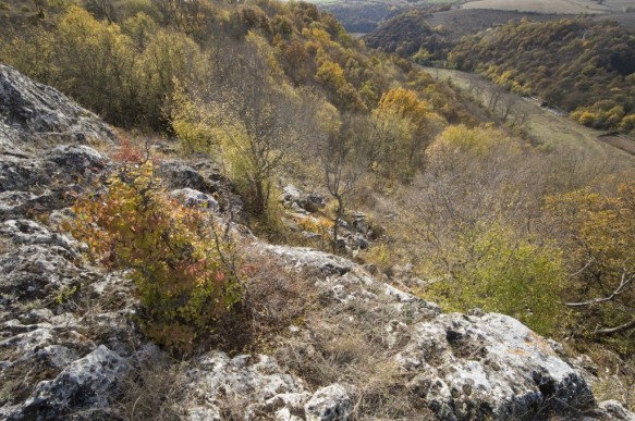 Rusenski Lom natuurgebied.