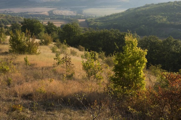 Bulgarije
