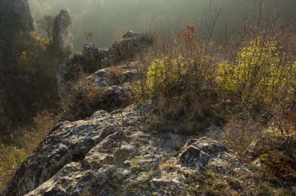 Rusenski Lom