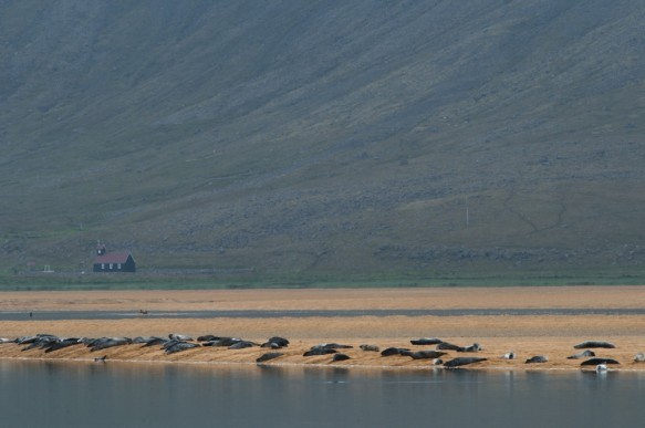 IJsland