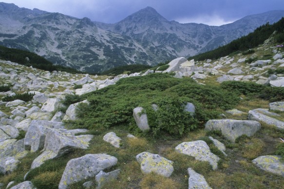 Pirin gebergte