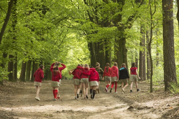 Lembeekse bossen.