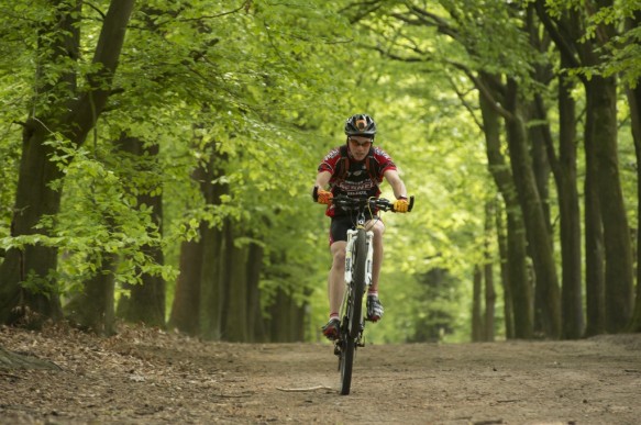 Lembeekse bossen