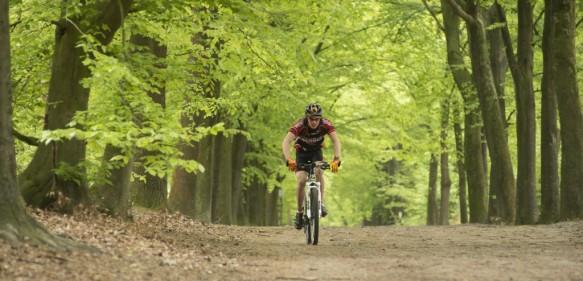 Lembeekse bossen