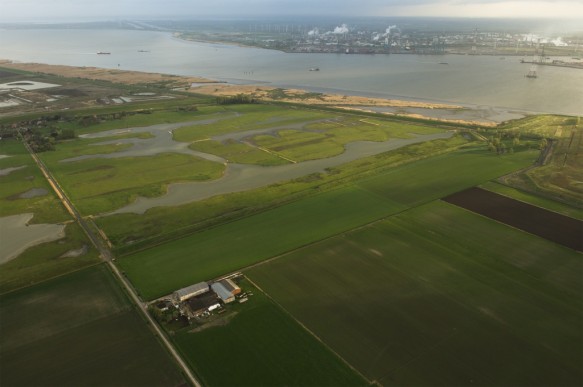 Doelpolder langs de Shelde