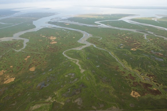 Het Verdronken Land van Saeftinghe.