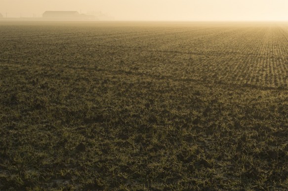 Polder in de omgeving van Doel.