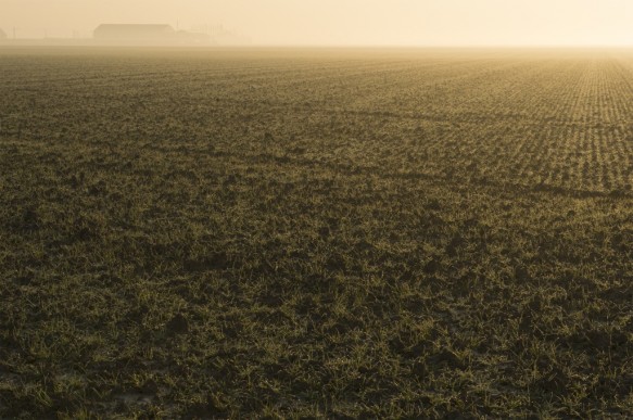 Polder in de omgeving van Doel.