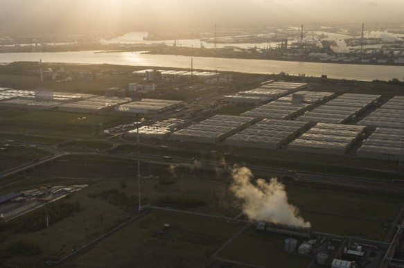 Katoen Natie in de Waaslandhaven.