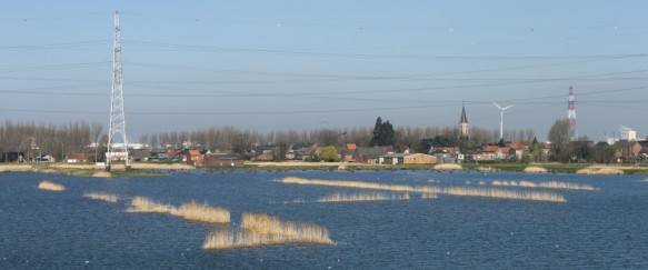 Natuur in de Waaslandhaven.