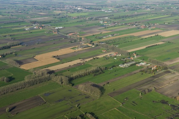 Houtland te Sint-Laureins.