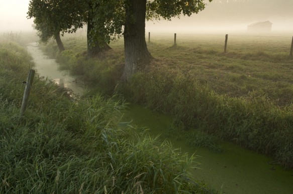 De Oude Kale