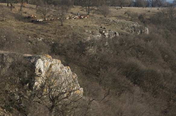 Rusenski lom