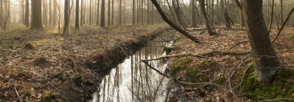 Heideveld-Bornebeek