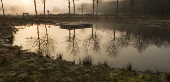 Heideveld-Bornebeek