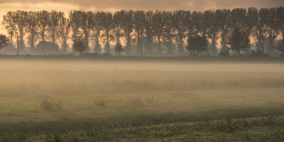 Polder te Sint-Jan-In-Eremo