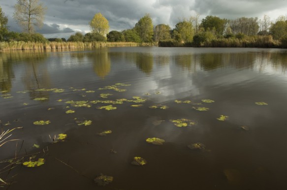 Vrouwkeshoekkreek