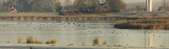 Boerekreek