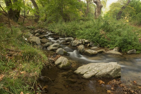Rivier in Bulgarije.