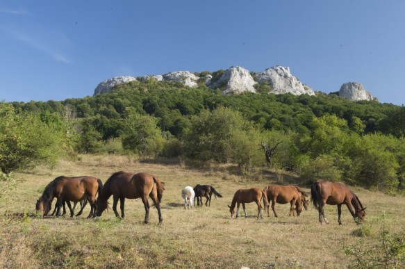 Balkan gebergte