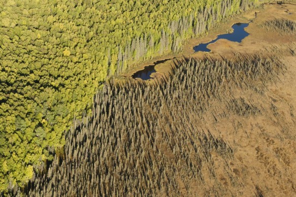 Alaska