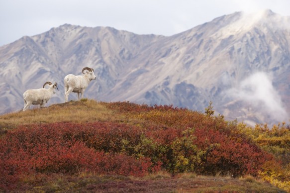 Alaska