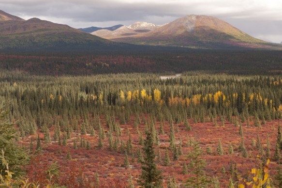 Alaska