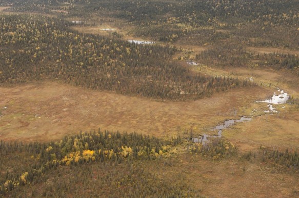 Alaska