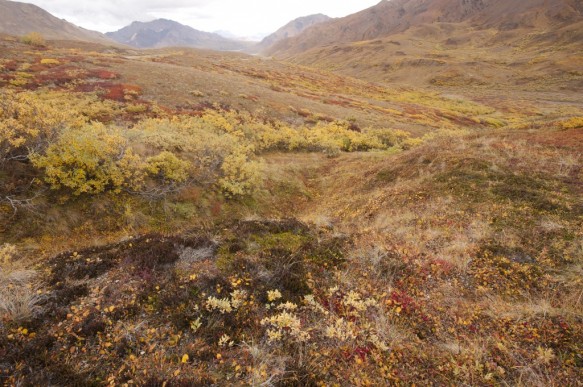 Alaska