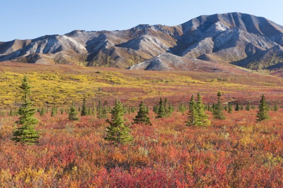 Alaska