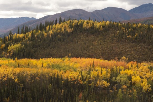 Alaska