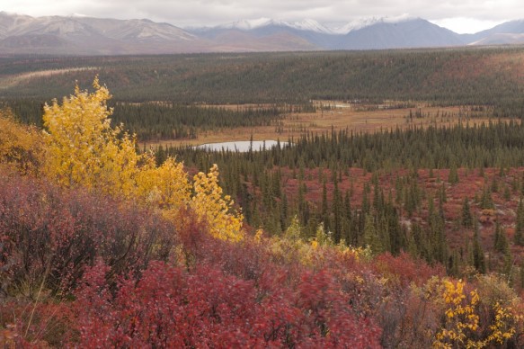 Alaska