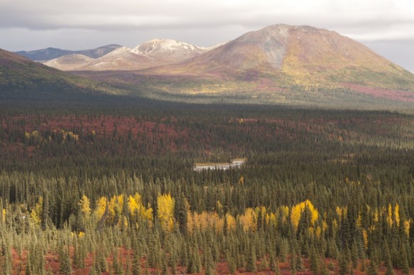 Alaska