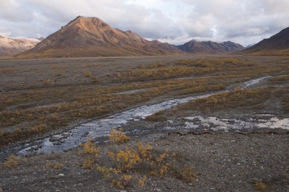 Alaska