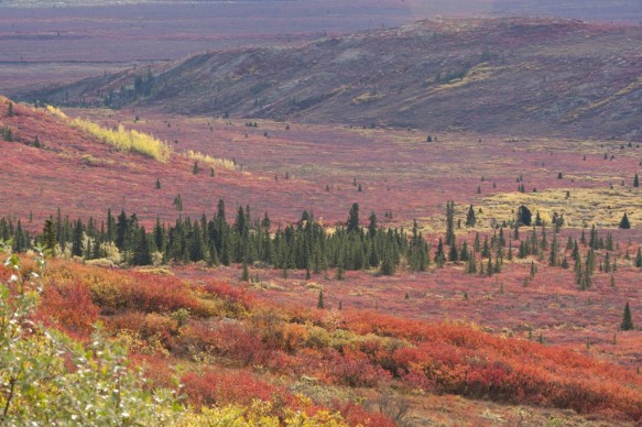 Alaska